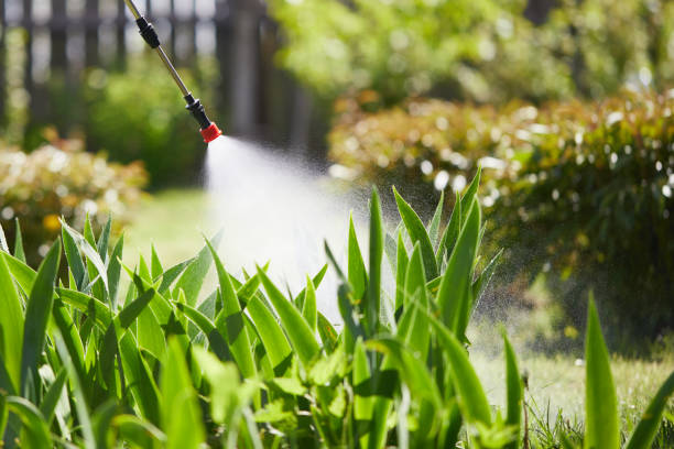 24/7 Emergency Ant Control experts in Washington, DC