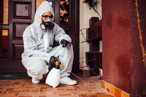 Reliable Ant Control contractor in Washington, DC by Show Me Pest Control